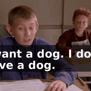 I want a dog. I don't have a dog.