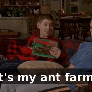 It's my ant farm.