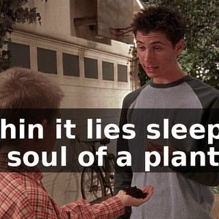 Within it lies sleeping the soul of a plant.
