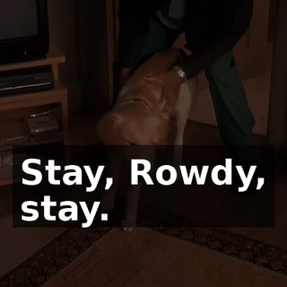 209e11e2-11bc-4320-851f-d2280eeffbd3.gif