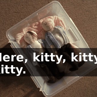 Here, kitty, kitty, kitty.