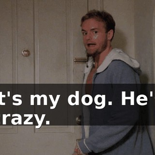 It's my dog. He's crazy.