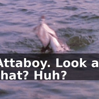 Attaboy. Look at that? Huh?