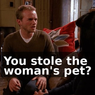 You stole the woman's pet?