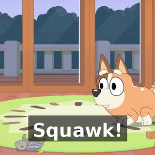 Squawk!