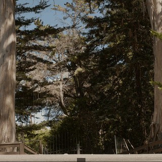 2196ca6c-8cb0-4ec0-952c-33ef5ce0e1ac.gif