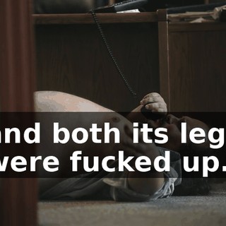 21a43b09-c7b8-4048-a1c3-6a1b518885b0.gif