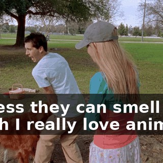 I guess they can smell how much I really love animals.