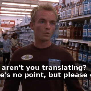 - Why aren't you translating? - There's no point, but please go on.