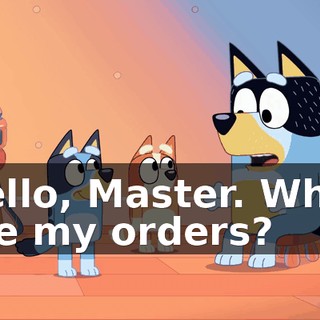 Hello, Master. What are my orders?