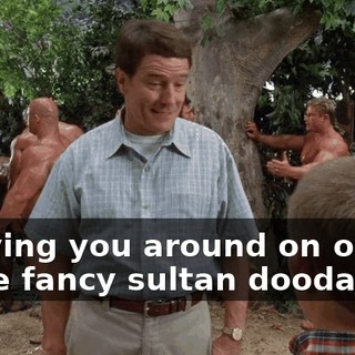 carrying you around on one of those fancy sultan doodads,