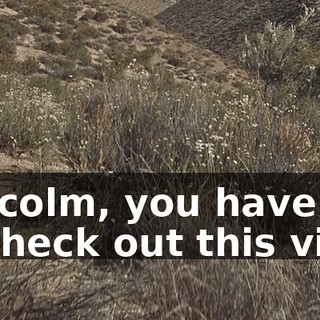 Malcolm, you have got to check out this view.
