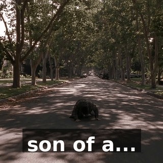 son of a...