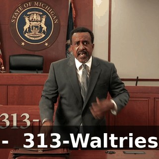- ♪ 313-Waltries ♪