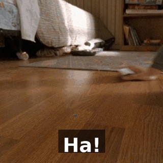 Ha!