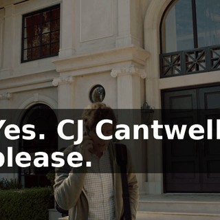 Yes. CJ Cantwell, please.