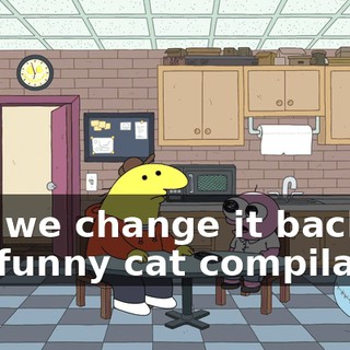 Can we change it back to the funny cat compilation