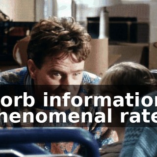 absorb information at a phenomenal rate.