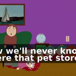 Now we'll never know where that pet store is.