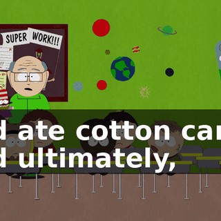 2263d502-8314-45ca-9d0f-4de393366cdc.gif