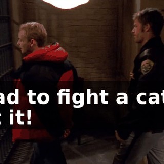 I had to fight a cat to get it!