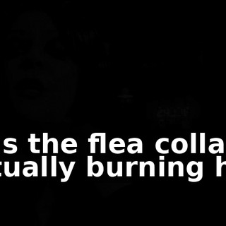 22c548ea-3a70-49c5-8c30-92639d100f3a.gif