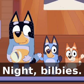 Night, bilbies.