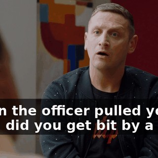 When the officer pulled you over, did you get bit by a dog?