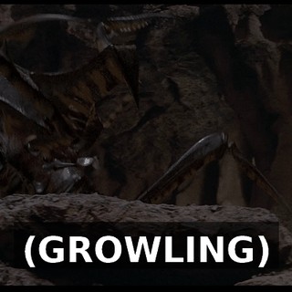 2333be44-921c-4f89-bfde-09550de42680.gif