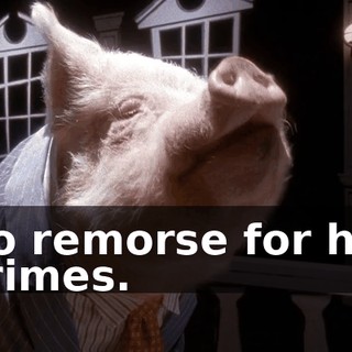 no remorse for his crimes.