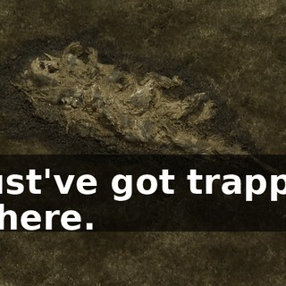 233beb70-88bd-48e7-a591-1771fd19f5ab.gif
