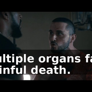 23785170-cbd3-492d-a9dc-3dbd22ac5170.gif