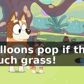 Balloons pop if they touch grass!