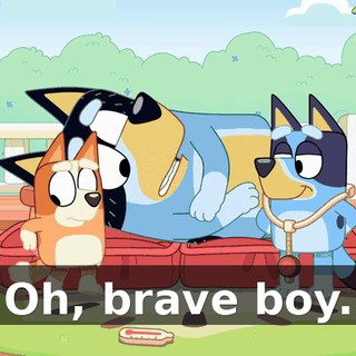 Oh, brave boy.