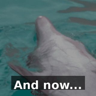 23c24216-782a-49c6-81c5-463aff4eefd5.gif