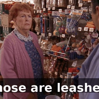 Those are leashes!