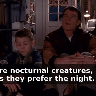 They're nocturnal creatures, which means they prefer the night.