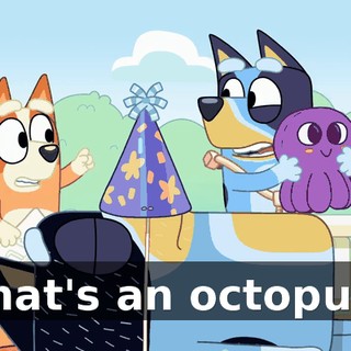 That's an octopus!