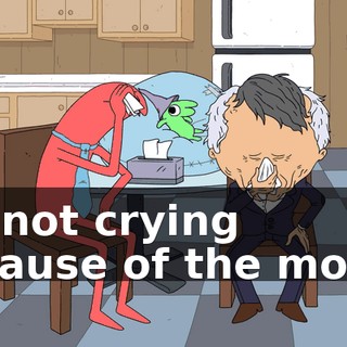 I'm not crying because of the movie.
