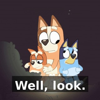 24c572fe-5f46-4253-a1d9-dbccf1368aec.gif