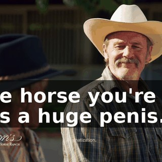 The horse you're on has a huge penis.