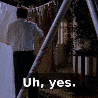 Uh, yes.