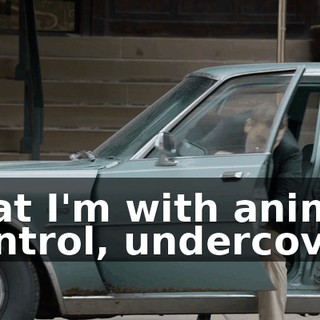 that I'm with animal control, undercover.