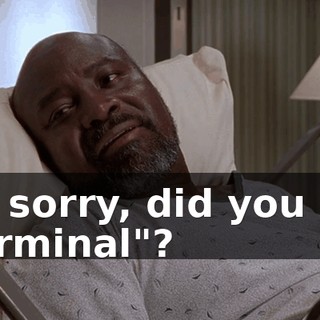 I'm sorry, did you say "terminal"?