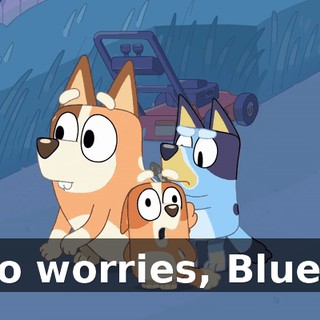 No worries, Bluey.