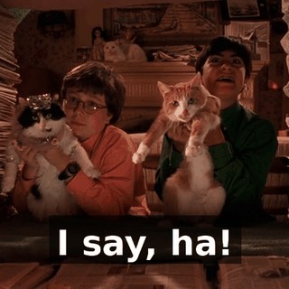 I say, ha!