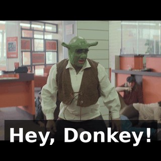 Hey, Donkey!