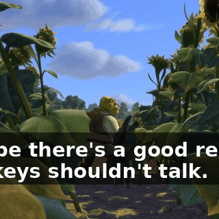 Maybe there's a good reason donkeys shouldn't talk.