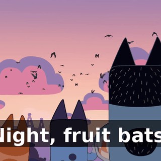 Night, fruit bats.