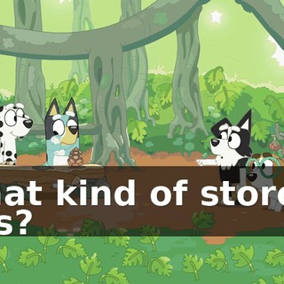 What kind of store is this?